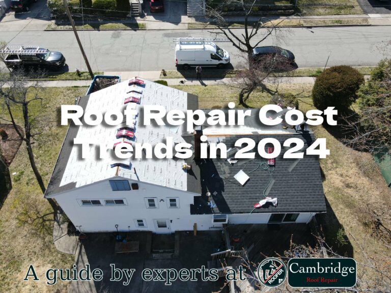 Roof Repair Costs 2024